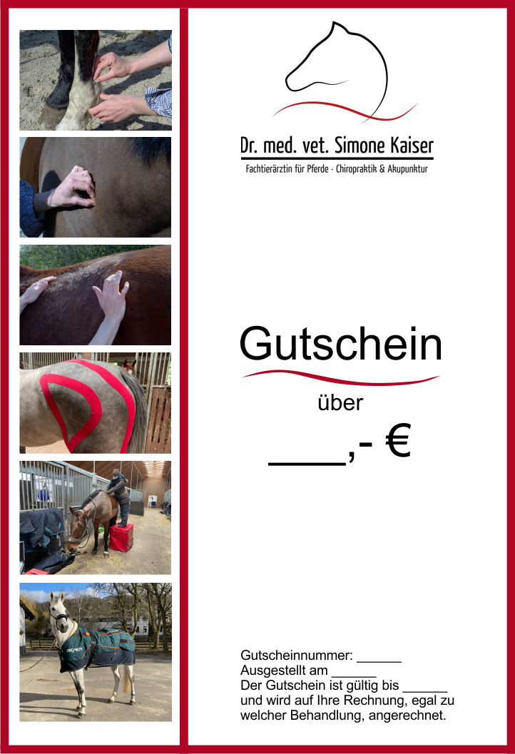 Read more about the article Gutscheine